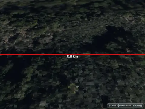 Ortho Earth