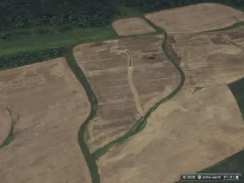 Ortho Earth