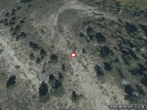 Ortho Earth