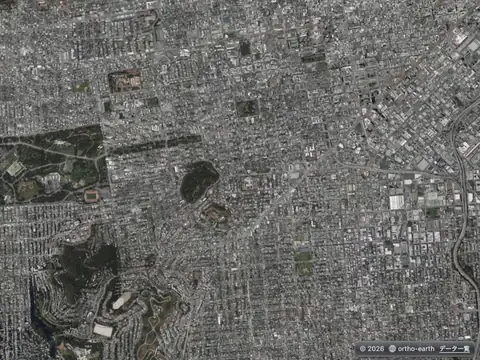 Ortho Earth