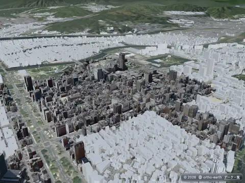 Ortho Earth