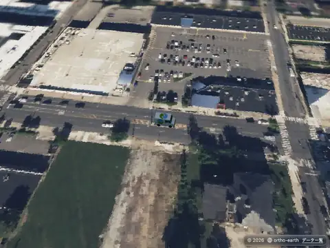 Ortho Earth